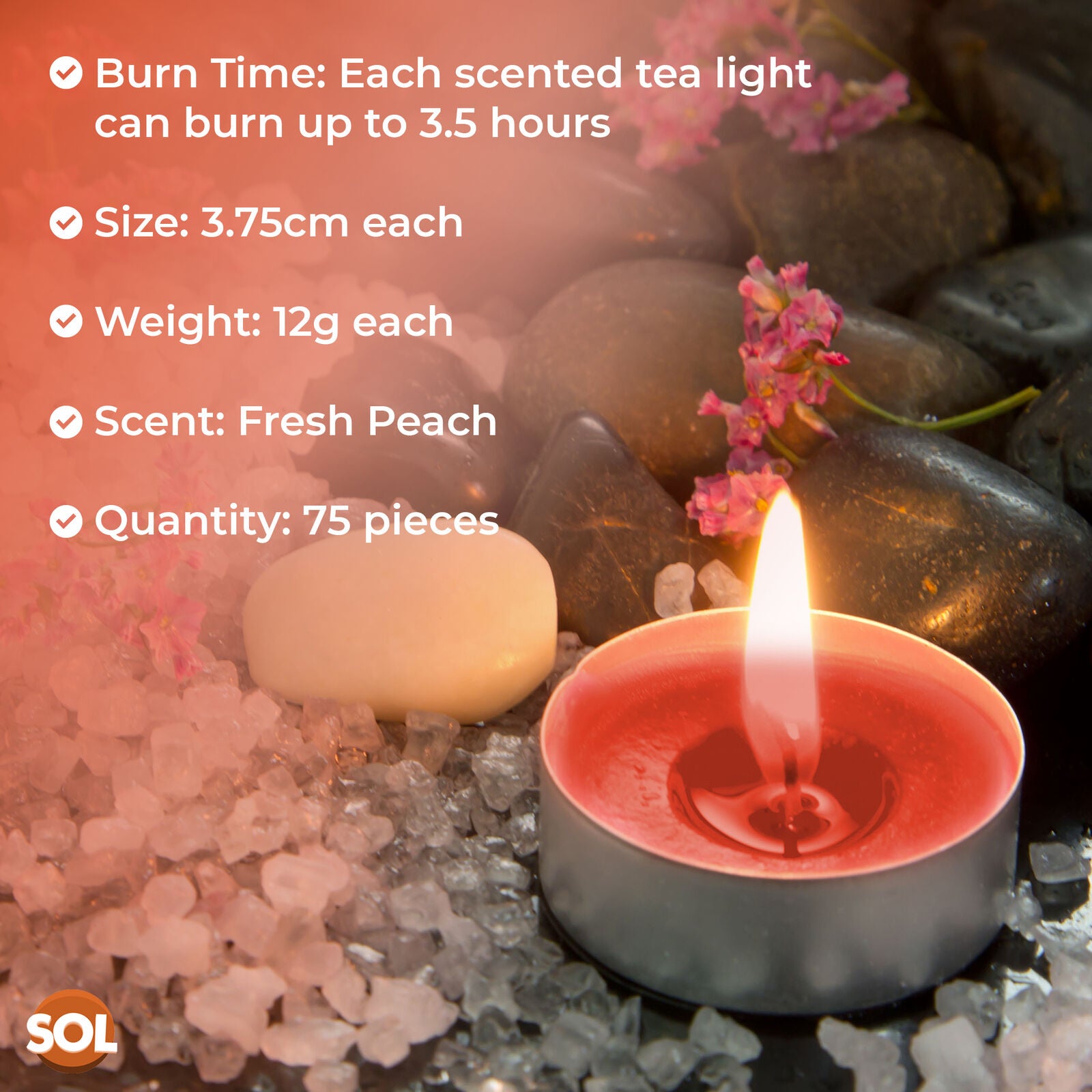 75Pk Scented Tea Lights Candles | Various Perfumes 4 Hour Burn Night T Tealights