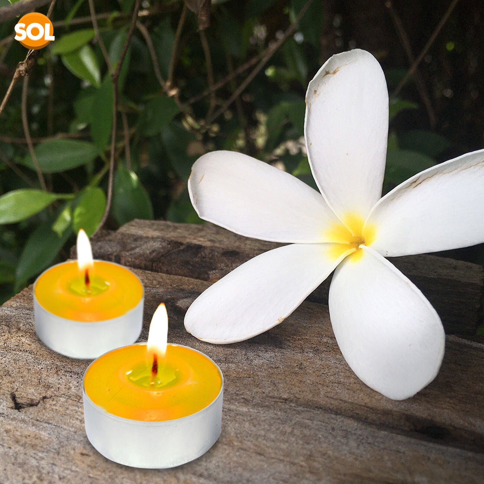 75Pk Scented Tea Lights Candles | Various Perfumes 4 Hour Burn Night T Tealights